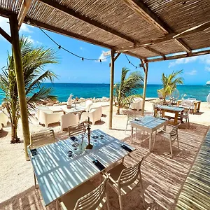 Bijblauw Curaçao